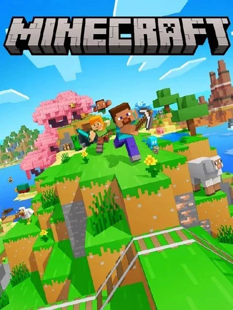 Jaquette de Minecraft
