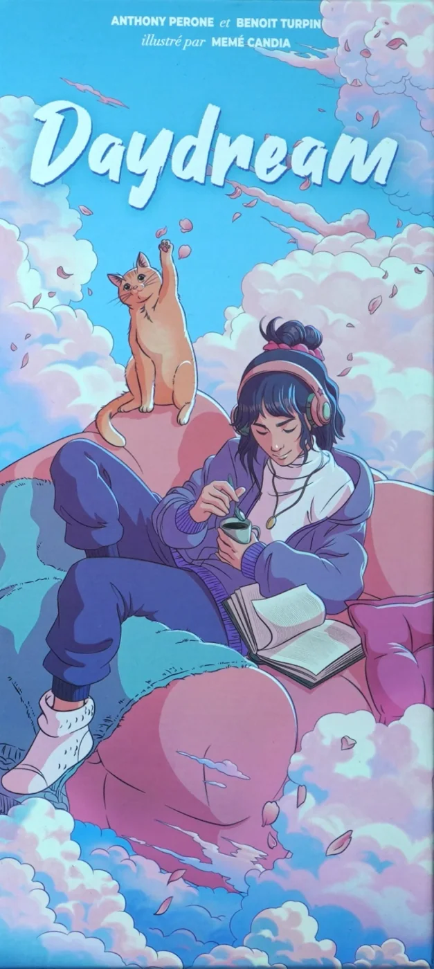 Boîte de Daydream