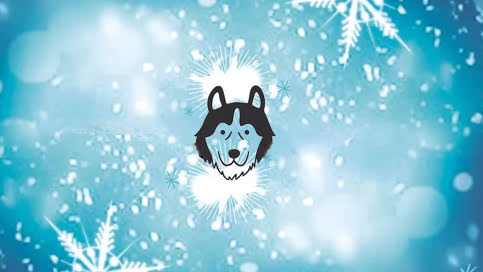 Livre Le Mystère de Sacha et le Husky Livre Le Mystère de Sacha et le Husky