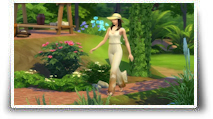 Les Sims 4 : Découvre les kits Havre végétal et Trésors du grenier