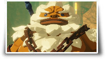 Hyrule Warriors - L'Ère du Fléau : Plus nombreux, plus forts