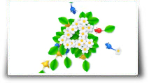 Nintendo officialise Pikmin 4