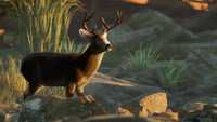 Ranger’s Path - National Park Simulator : Deviens le garde forestier que la nature attendait