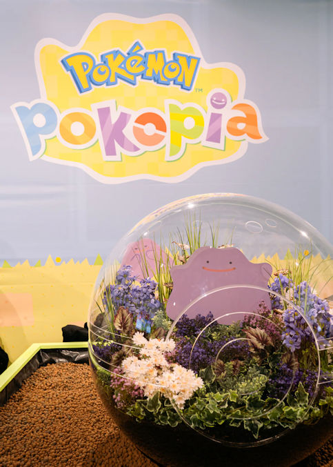 Pokémon Pokopia : un jardin éphémère à Paris Pokémon Pokopia : un jardin éphémère à Paris