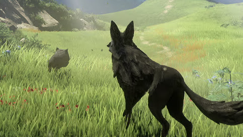 Lost Ember : La Wolf Pack Edition arrivera en physique sur PS5 et Xbox Series le 2 juillet 2026