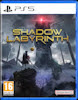 Le test Shadow Labyrinth sur PS5